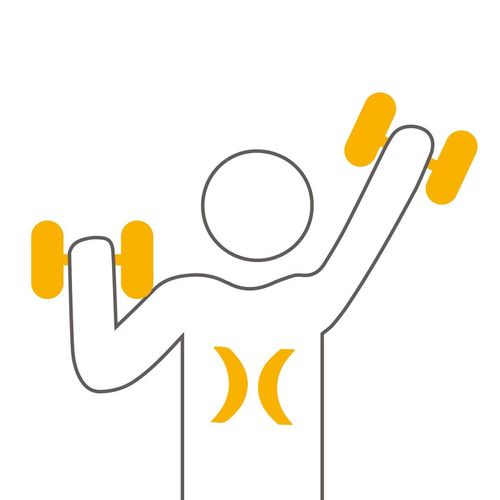 Icon Karriere Fitness