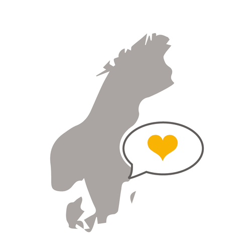 Icon Karriere Skandinavische Identität